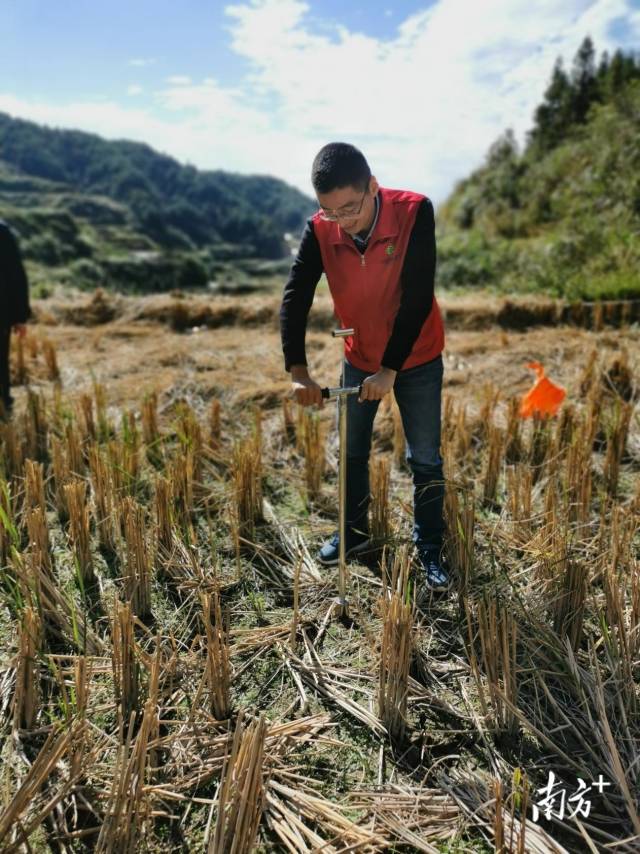 技術(shù)人員深入田間地頭開展土壤取樣、分析。通訊員供圖