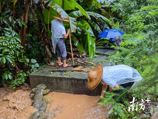 為保障陂嶺近三分之二村民用水，陂嶺村新老干部冒雨前往水源點(diǎn)解決集中供水問(wèn)題。