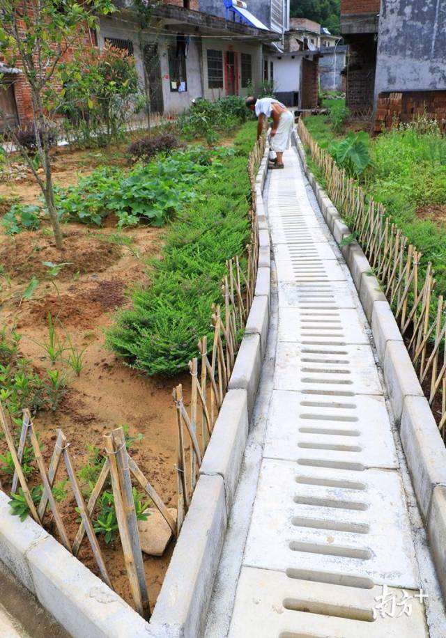 50個自然村建有污水處理系統(tǒng)。記者黃津 攝